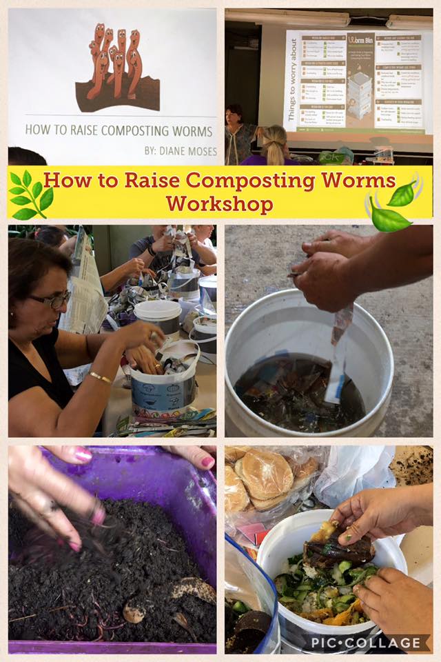 How to Raise Composting Worms