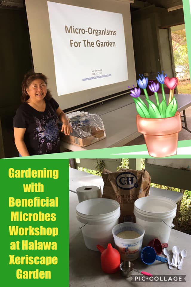 Gardening with Beneficial Microbes